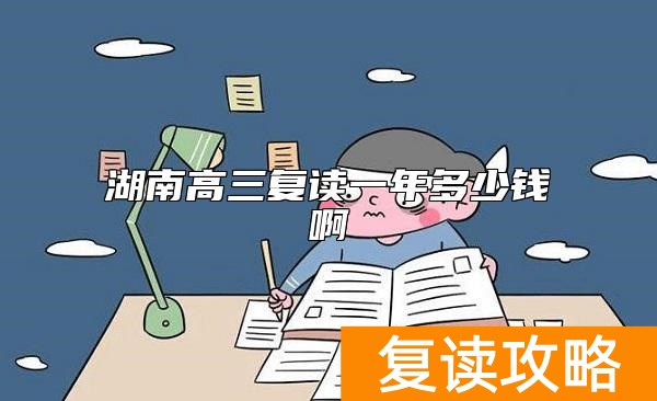 湖南高三复读一年多少钱啊